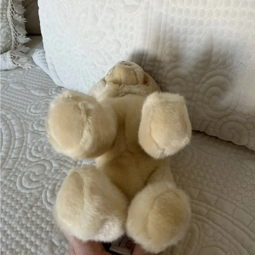 EUC Boo The World’s Cutest Dog Gund Pomeranian Stuffed 9” Plush